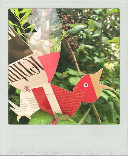 songbirds