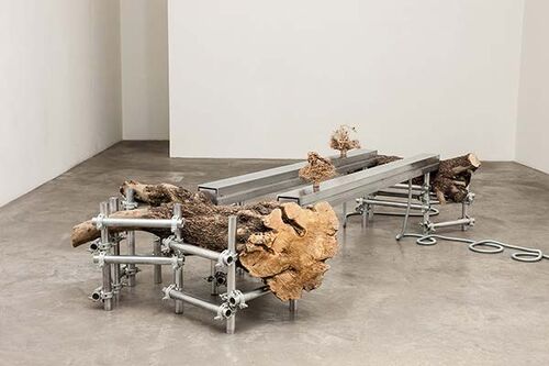Artwork at IMMA